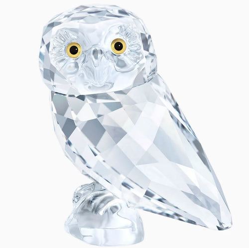 Authentic New in Box Swarovski Owlet Bird Owl Small #5302522